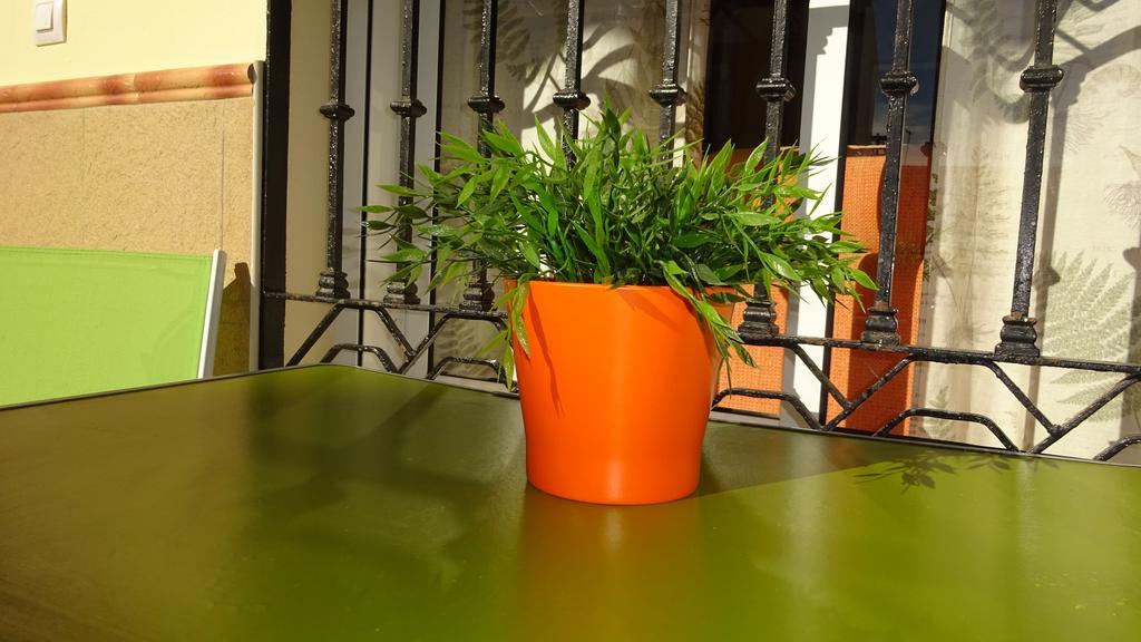 Apartamento Rulosol 2 托雷莫利诺斯 外观 照片